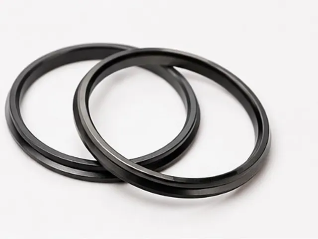 Buna-coated ring gaskets