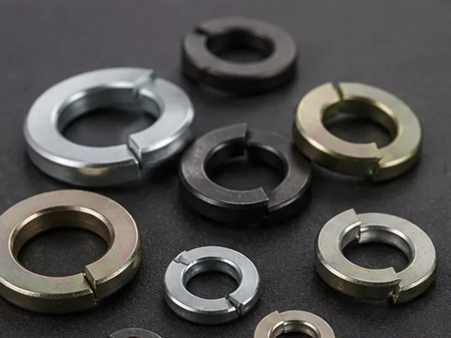 Spring and lock washers