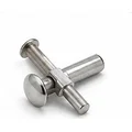 Solid rivet, industrial rivets manufactured and exported by PAVANDEAL